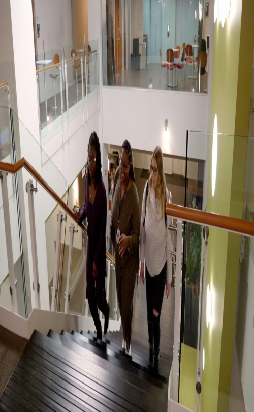 Adler University